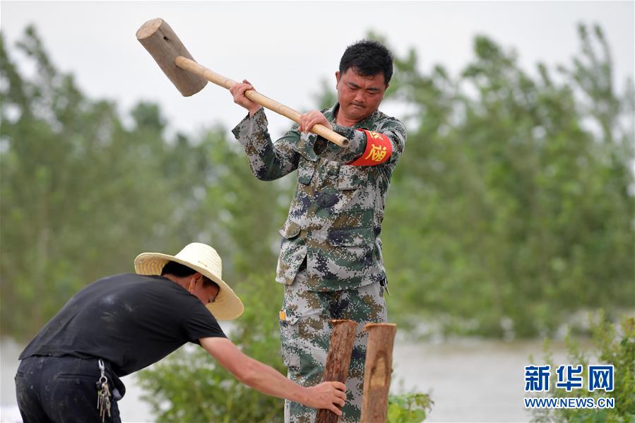 Đóng cọc vá đê (ảnh: Xinhua)