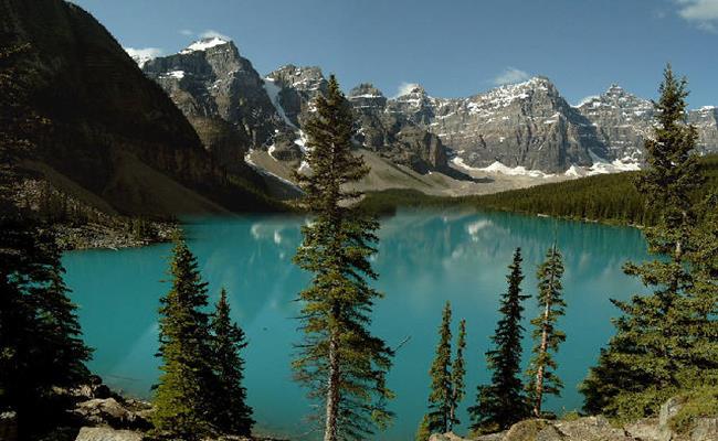 10 năm trước, triệu phú Forrest Fenn đã nảy ra ý tưởng chôn một kho báu trên dãy núi Rocky ở Mỹ và viết cuốn sách &#34;Cuộc săn lùng kỳ diệu” để đưa ra các gợi ý dành cho những người muốn tìm kho báu.
