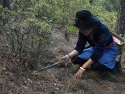 Thị trường - Tiêu dùng - &quot;Kho báu&quot; ẩn mình trong rừng, tinh mắt đào được bán hơn 20 triệu/kg