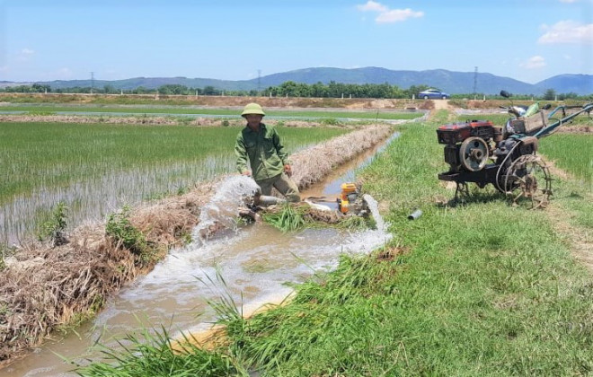 Chính quyền địa phương ở Thanh Hóa phải điều động hàng trăm máy bơm dã chiến vét những hạt nước cuối cùng để cứu những cánh đồng lúa đã gieo cấy với phương châm "còn nước, còn tát"