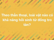 Giáo dục - du học - Ai là triệu phú kiến thức, làm bài test này biết ngay kết quả