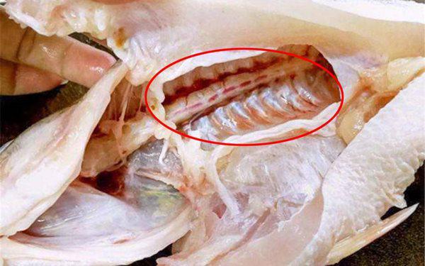 Hóa ra cá có mùi tanh là do những thứ này, loại bỏ hết đảm bảo món ăn thơm ngon hơn - 3