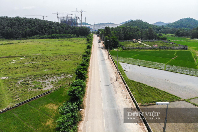 Thời điểm hàng cây được di dời lên bãi rác Nam Sơn là vào ngày 17/7/2019, gần 100 cây hoa sữa ven hồ Tây đề được cắt gọn cành lá chỉ còn mỗi thân thẳng đứng đã được đánh chuyển lên bãi rác.