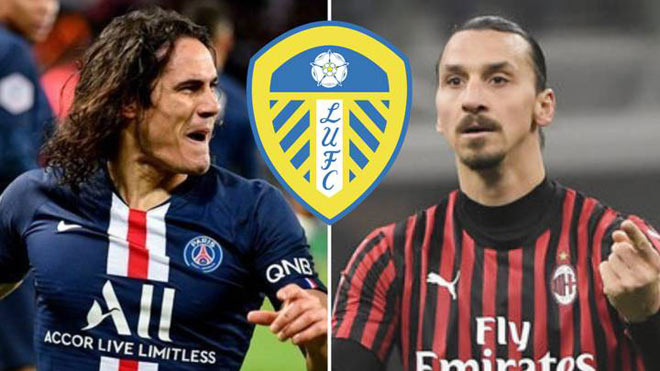 Vừa lên hạng ở Premier League, Leeds United đã gây sốc khi muốn chiêu mộ Edinson Cavani hoặc Zlatan Ibrahimovic