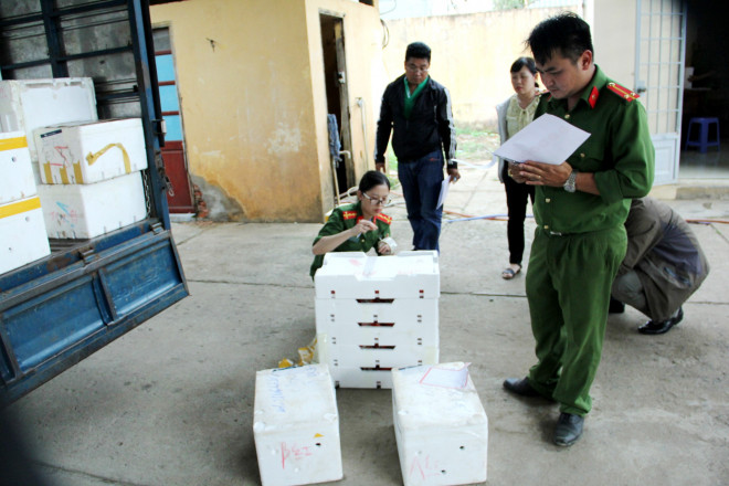 Lực lượng chức năng kiểm đếm số lượng thùng xốp chứa dâu tây Trung Quốc.