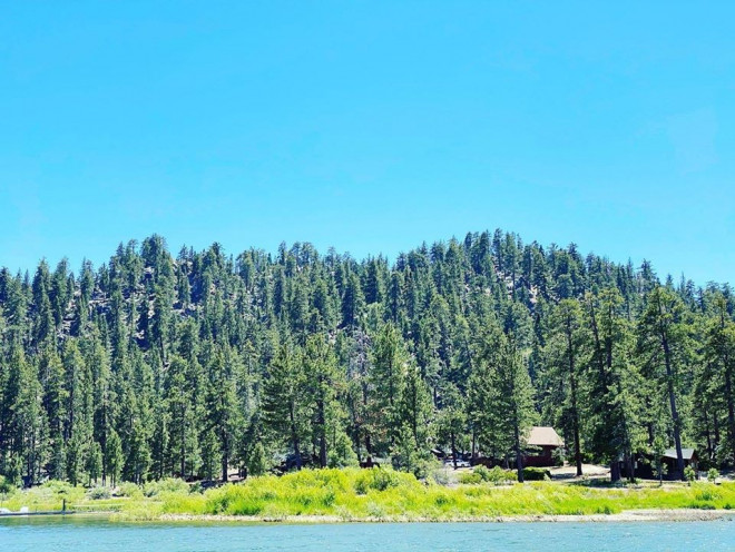 Rừng thông bao quanh Big Bear Lake