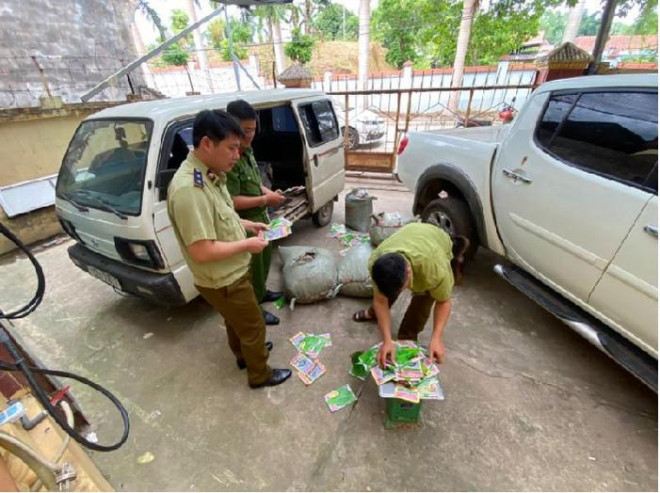 Lượng lớn hạt giống không chứng minh được nguồn gốc nhập khẩu hợp pháp bị thu giữ. Ảnh: Cục QLTT Lạng Sơn