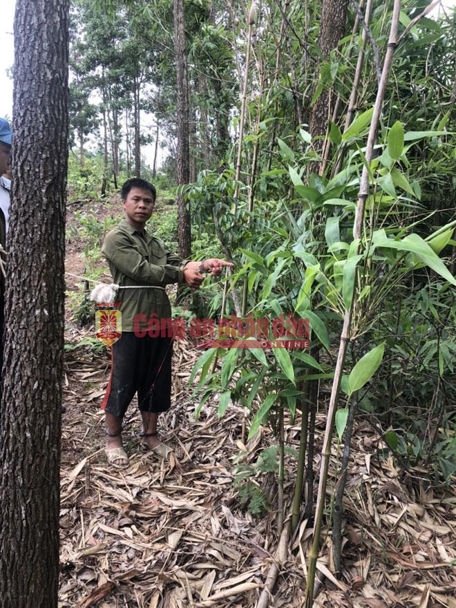 Công an tỉnh Quảng Ninh thực nghiệm lại hiện trường vụ án: Hung thủ đang chỉ vào bụi cây mà hắn trốn để rình lúc anh Trung đi qua ra tay sát hại