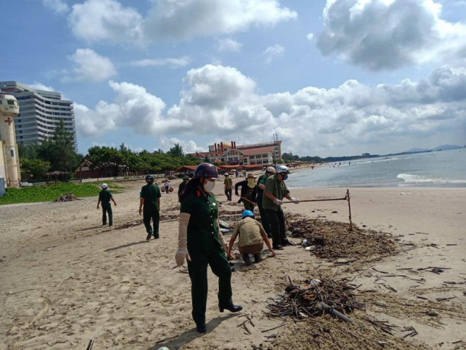 Lực lượng cựu chiến binh TP Vũng Tàu cùng làm sạch bãi biển