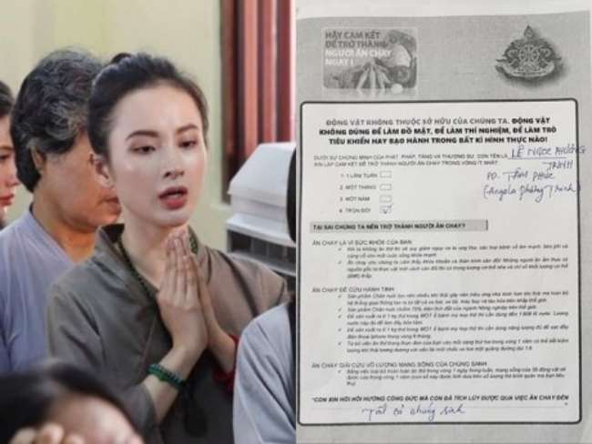 Hồi đầu năm nay, Angela Phương Trinh đã ký phát nguyện ăn chay trọn đời. Hành động bất ngờ của nữ diễn viên nhận được nhiều sự ủng hộ của fan.&nbsp;
