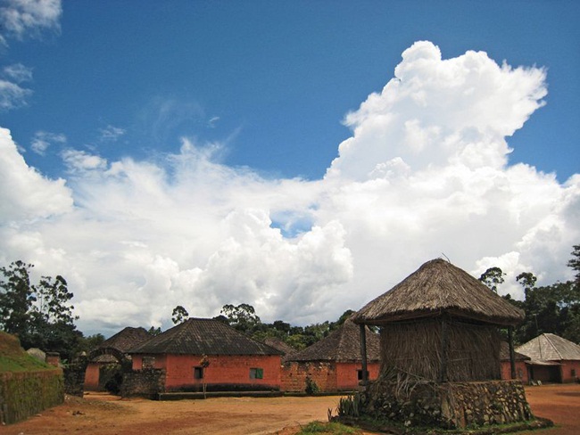 CNN cho hay, theo truyền thống địa phương tại Bafut thì&nbsp;người giữ ngai vàng sẽ thừa kế các bà vợ của vị vua trước và cưới các thê thiếp mới.
