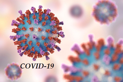 COVID-19 có thể dẫn đến gia tăng các ca tử vong do bệnh truyền nhiễm - 1