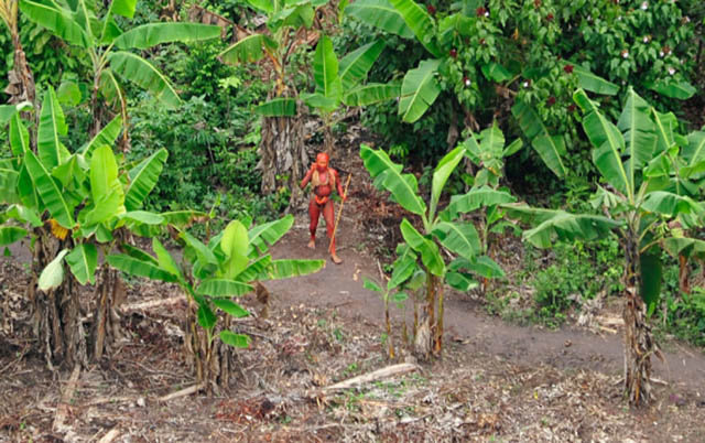 Bộ lạc bí ẩn ở rừng nhiệt đới Amazon lần đầu tiên tiếp xúc với thế giới bên ngoài - 1
