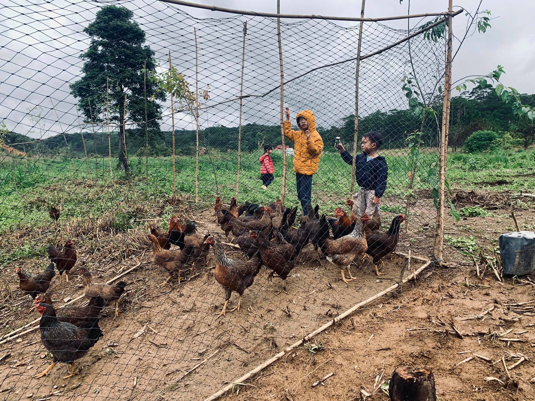 Các con nhà Lý Hải - Minh Hà thích thú vui chơi tại trang trại của gia đình
