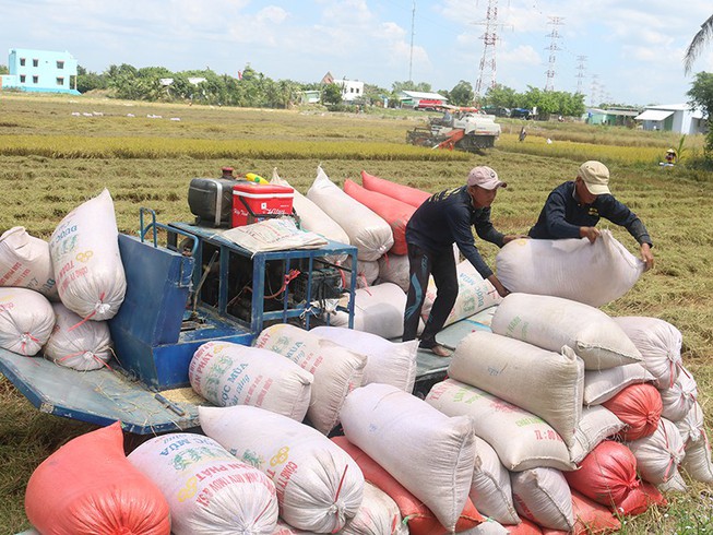Bán 80.000 tấn gạo Việt miễn thuế sang EU ra sao? - 1