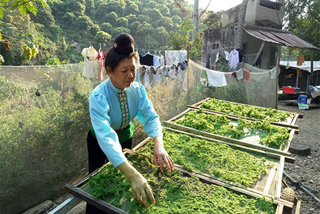 Rêu có thể bảo quản tươi. Tuy nhiên cũng có một cách khác là gác bếp để ăn dần.
