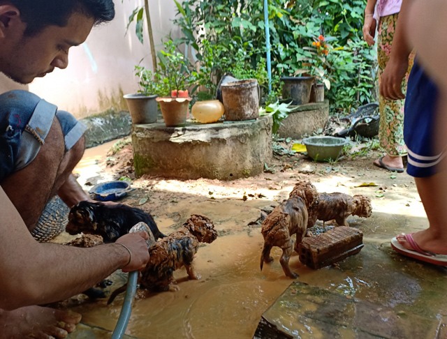 Nghe thấy tiếng kêu chói tai dưới giếng, người đàn ông ngỡ ngàng khi nhìn xuống - 4