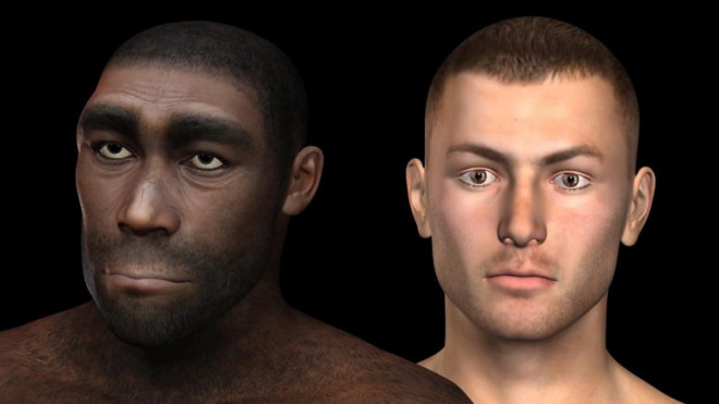 Người Neanderthals và người Homo sapiens chúng ta - ảnh: PHYS.ORG