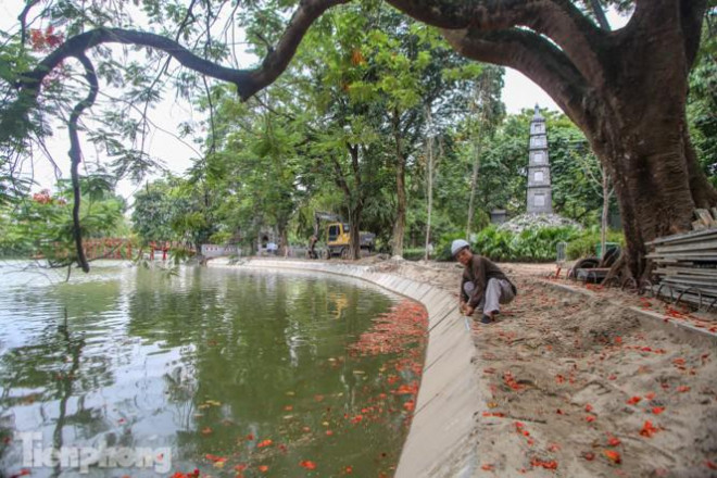 Mặc dù dùng bằng vật liệu bê tông nhưng lại tạo ra được đường cong tuyệt mỹ.