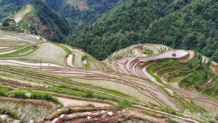 “Thiên đường trên núi” đẹp nhất Trung Quốc - 17