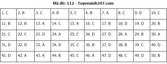 Gợi ý đáp án đề thi môn Toán kỳ thi THPT 2020 - Full 24 mã đề - 12