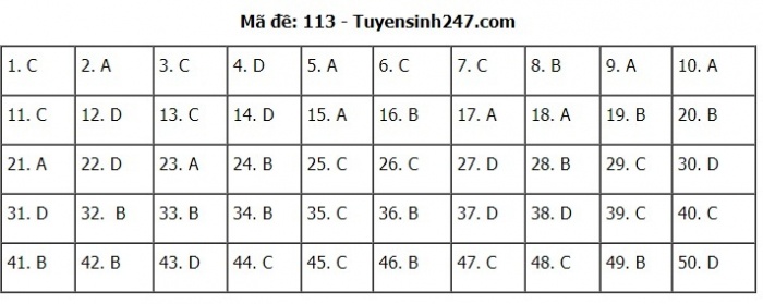 Gợi ý đáp án đề thi môn Toán kỳ thi THPT 2020 - Full 24 mã đề - 13