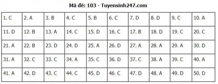 Gợi ý đáp án đề thi môn Toán kỳ thi THPT 2020 - Full 24 mã đề - 3