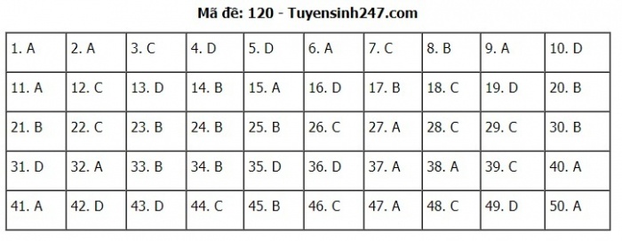 Gợi ý đáp án đề thi môn Toán kỳ thi THPT 2020 - Full 24 mã đề - 20