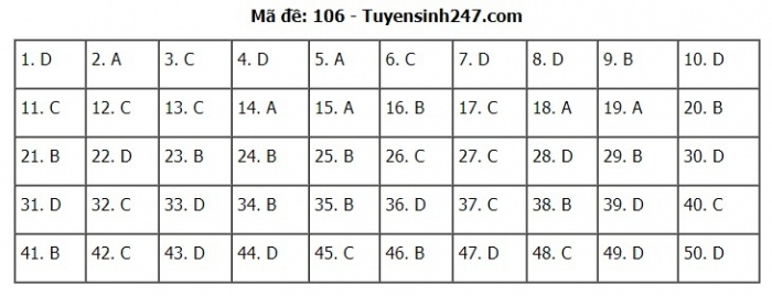 Gợi ý đáp án đề thi môn Toán kỳ thi THPT 2020 - Full 24 mã đề - 6