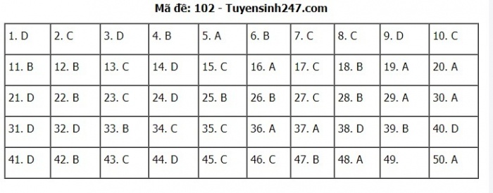 Gợi ý đáp án đề thi môn Toán kỳ thi THPT 2020 - Full 24 mã đề - 2