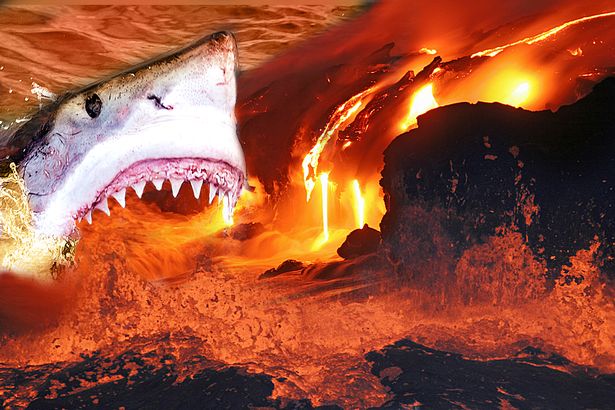 Cá mập sống dễ dàng trong miệng núi lửa đang hoạt động nhờ "giác quan thứ 6". Ảnh minh họa: Mirror
