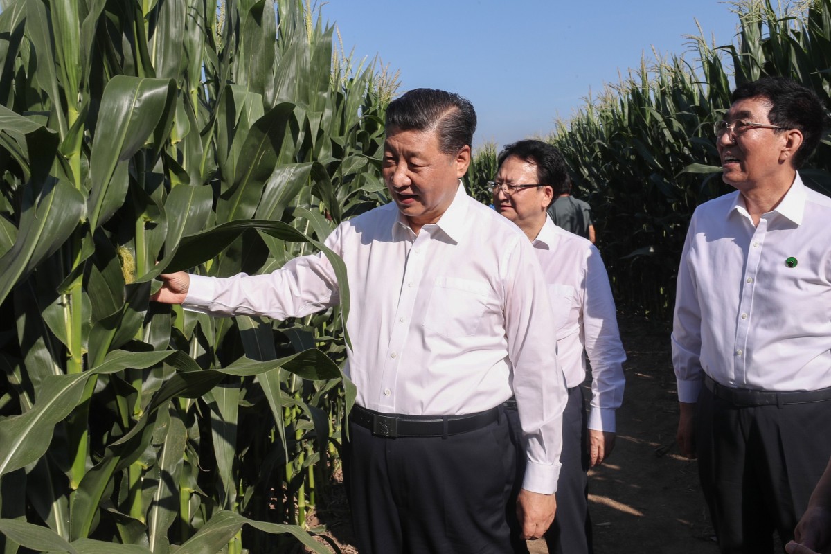 Ông Tập Cận Bình kêu gọi người dân Trung Quốc tiết kiệm thực phẩm (ảnh: SCMP)