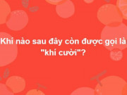 Giáo dục - du học - Tinh thông kiến thức Đông Tây kim cổ mới trả lời được hết bộ câu hỏi này