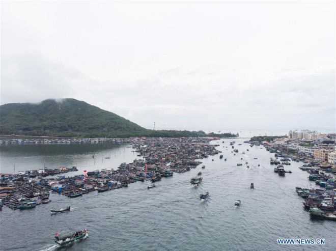 16.700 tàu cá Trung Quốc được cởi trói, sắp tràn xuống biển Đông - 2