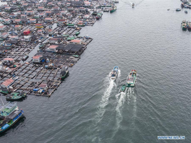 16.700 tàu cá Trung Quốc được cởi trói, sắp tràn xuống biển Đông - 4