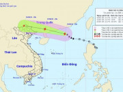 Tin tức trong ngày - Bão số 4 tăng cấp, di chuyển “thần tốc” trên Biển Đông