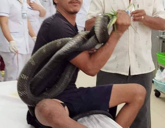 Anh T. nắm chặc con rắn hổ mang cùng vào bệnh viện.
