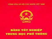 Tin tức trong ngày - Vừa thi xong THPT, phó chủ tịch xã ở Phú Quốc bị cách chức