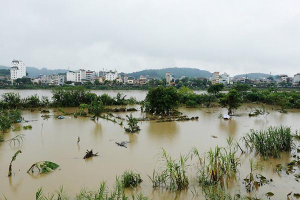 Trung Quốc xả lũ xuống sông Hồng, Lào Cai, Yên Bái trực xuyên đêm, sẵn sàng ứng phó - 1