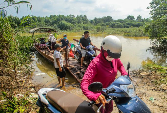 Lạ lẫm bãi giữa sông Hồng những ngày ngập sâu khi nước lũ tràn về - 8