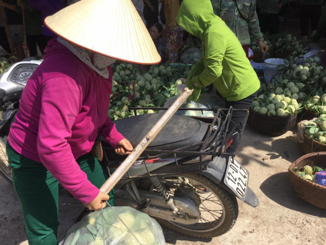 Gia đình chị Lý hái na từ trên núi Kai Kinh mang đến khu chợ để bán cho khách. Ảnh: Duy Chiến