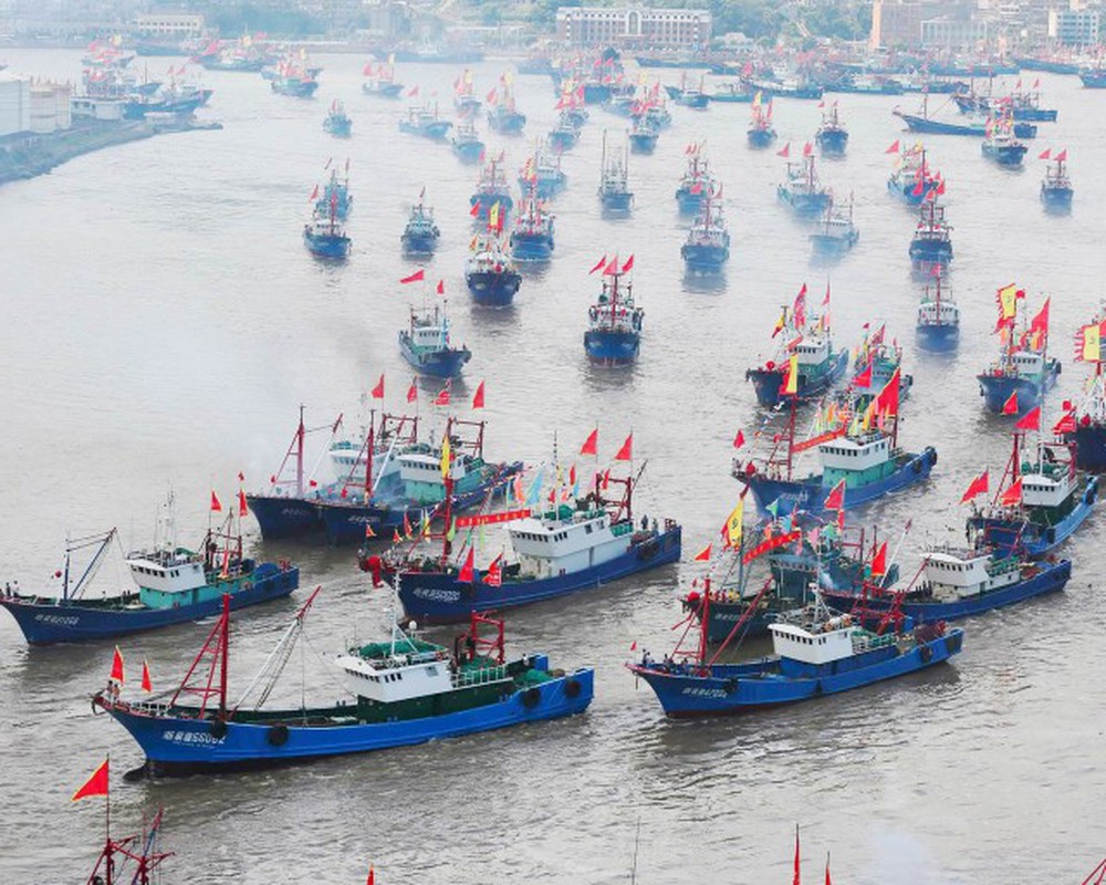 Một đội tàu đánh cá Trung Quốc (ảnh: BBC)