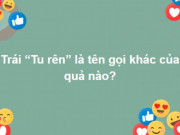 Giáo dục - du học - Loay hoay nguyên buổi chiều mới trả lời đúng hết bộ câu hỏi này