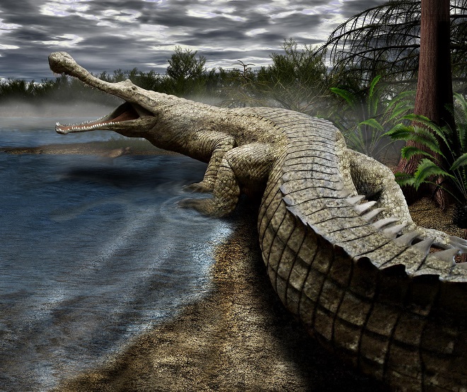 Sarcosuchus sống chủ yếu ở châu Phi và Nam Mỹ thời cổ đại.