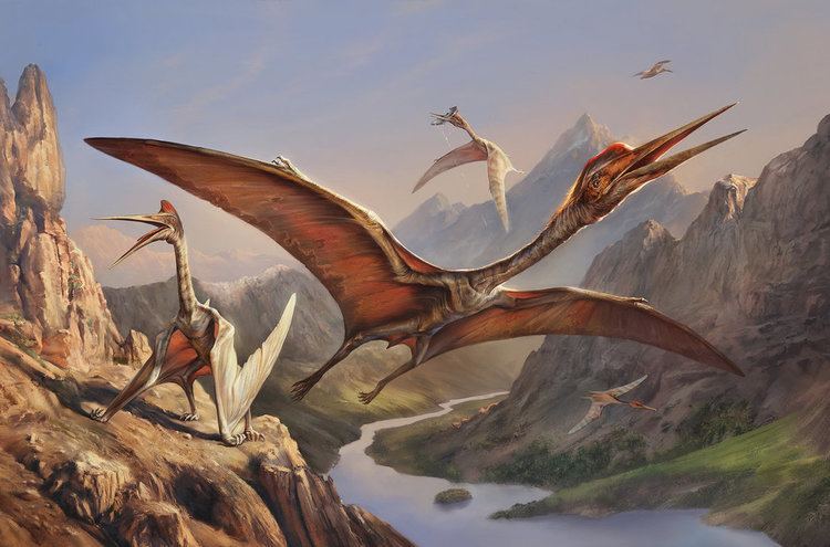 Quetzalcoatlus chuyên&nbsp;đi săn những con mồi nhỏ hơn, kể cả khủng long.