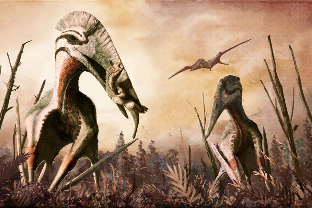 Kích thước đồ sộ khiến Quetzalcoatlus không thể sống sót ở thời kỳ đại tuyệt chủng.