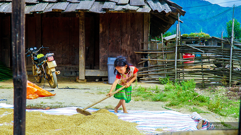 Bản Cu Vai: Về nơi mây vắt ngang trời - 21