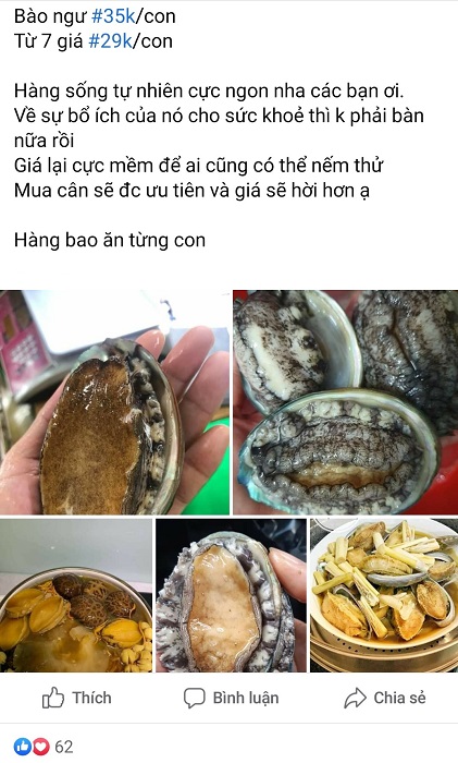 Bào ngư sống tự nhiên được bán theo con trên chợ mạng với giá chỉ 29.000 đồng/con.