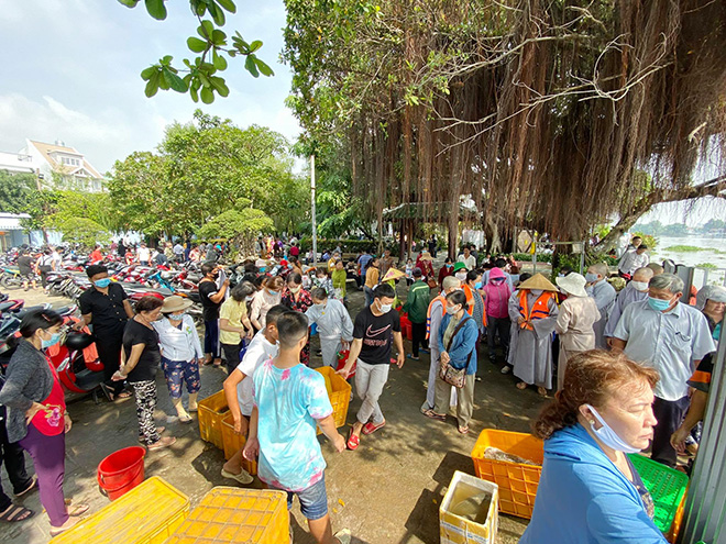 Vu Lan, người Sài Gòn ngao ngán nhìn cá vừa phóng sinh bị chích điện, bắt lại - 4