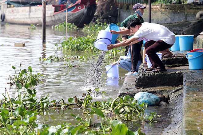 Vu Lan, người Sài Gòn ngao ngán nhìn cá vừa phóng sinh bị chích điện, bắt lại - 6